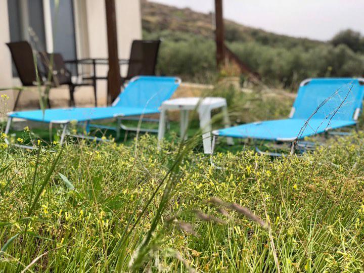 Villa Oniro Kreta カラマキ エクステリア 写真